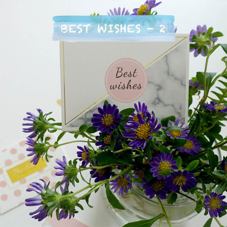 Mini Gold Foil Assorted Greeting Cards with Envelopes - Best Wishes-1